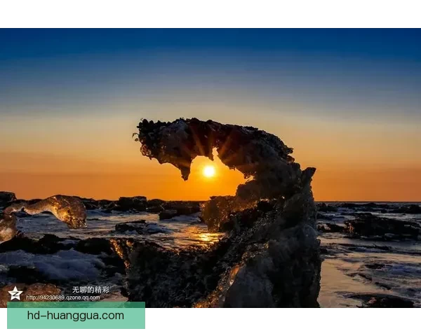 探索成人世界的无限可能：优酷为您打开的精彩视界